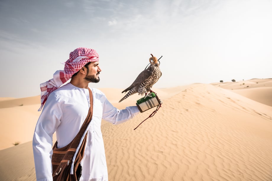 sheikh carrying bird