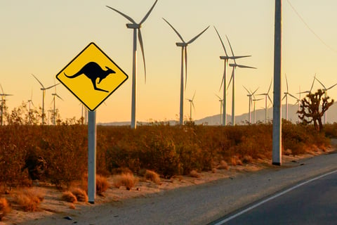 How to survive Australia’s energy market bull run